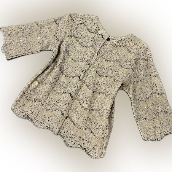 Paper + Tee NWT Neutral Sheer Lace/Eyelet Blouse - Picture 2 of 8
